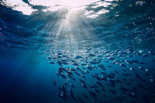 株式会社タカスイ02